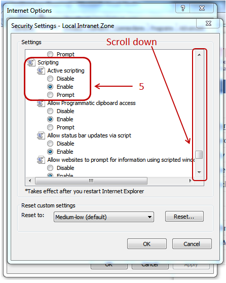 Ensuring the Enable option under Active Scripting is selected.